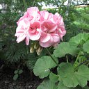 ���� �����, ������, 39 ��� - ��������� 23 ���� 2010 � ������ �� ���������� ��������...�