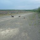 ���� &deg;&bull;*������&deg;&bull;*, ����������, 23 ���� - ��������� 15 ��� 2010 � ������ ���� ��������