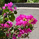 ���� ���������, ���������, 42 ���� - ��������� 9 ����� 2010 � ������ ���� ����������