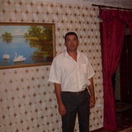 �������, ���������, 55 ���