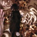 ���� ������, ���� - ��������� 3 �������� 2010 � ������ �������