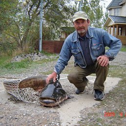 �����������, ��������, 75 ���