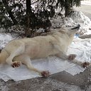 ���� �������, ���, 67 ��� - ��������� 15 ������ 2013 � ������ ��������� ��������� ��������� � ����-��� (������ 2012�)�