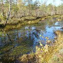 ���� ������, ���������, 62 ���� - ��������� 17 ��� 2011 � ������ �������