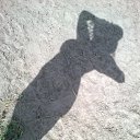 ���� �����, ����, 64 ���� - ��������� 7 ������� 2012 � ������ �������