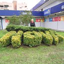 ���� ������, ���, 71 ��� - ��������� 7 ������� 2010 � ������ �4 ������� 2010 � ���,,������ ,��������,������... ��������..�