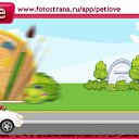 ���� ���(������), ����, 39 ��� - ��������� 8 ������� 2010 � ������ �PetLove�