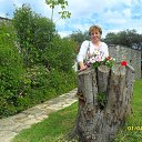 ���� ��������, ������ - ��������� 1 ���� 2013 � ������ ���� ����������