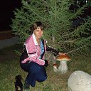 ���� ����������, ������, 48 ��� - ��������� 29 ������ 2013