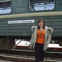 ���������,2008