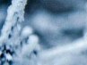 ������� � ���������� ���������� - http://vkontakte.ru/app2175066?from_id=1&amp;loc=4f34d7d1bbc64611a620d26f �� ������� ���������� ������