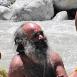 �����, ������������, 55 ���