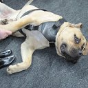 ���� "@����", �����-���������, 25 ��� - ��������� 3 ��� 2010 � ������ ������ ������