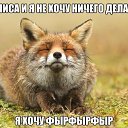 ���� ���������, ���������� ����� - ��������� 25 ������ 2013