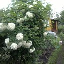 ���� ������, �����, 53 ���� - ��������� 2 ���� 2013 � ������ ���� ����������