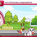  , , 44  -  1  2010   PetLove