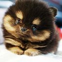 ���� ����� �, ����, 26 ��� - ��������� 15 ����� 2012