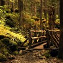 ���� �������, ������, 47 ��� - ��������� 18 �������� 2011