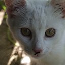 ���� ���������, ������ - ��������� 26 ������ 2010 � ������ ���� �����