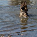 ���������� ���������� �� ������� ����� ��� ������������