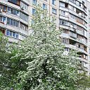 ���� �����. �������, ������� - ��������� 17 ������ 2012 � ������ ���� ������ �������.�������������,�����1.�