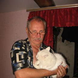 ����, ���������, 61 ���