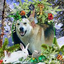    , -, 70  -  5  2011    -    ,  ,  