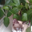 ���� ����� ����-166~������~, �������������� - ��������� 31 ������� 2010 � ������ ���������� ������