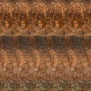 ���� ��������, �������, 52 ���� - ��������� 5 ���� 2013 � ������ ������ ��������