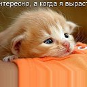 ���� �����, �����������, 41 ��� - ��������� 12 ������� 2010 � ������ �������� ���������!�