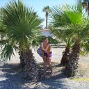 ���� ������, ������, 36 ��� - ��������� 16 ������ 2011 � ������ �����