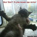 ���� �����, �����������, 41 ��� - ��������� 12 ������� 2010 � ������ �������� ���������!�