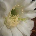 ���� �����, ������� - ��������� 18 ���� 2011 � ������ �������