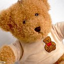 ���� ��������, ������ - ��������� 2 ������ 2011 � ������ �������