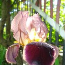 ���� ����, �������� ������ - ��������� 8 �������� 2010 � ������ ������� ��������....�