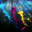 ���� Vlad, ������, 29 ��� - ��������� 1 ������� 2011 � ������ �PetLove�