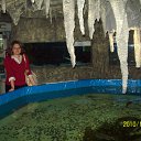 ���� �����, ���������, 57 ��� - ��������� 25 ������� 2010 � ������ ���� ����������