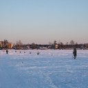 ���� �������, �������, 58 ��� - ��������� 29 ������ 2012 � ������ ��� �� ��� ������ �����������