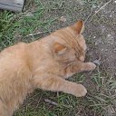 ���� ����, ������� - ��������� 19 ������ 2012 � ������ �������