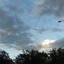  , , 41  -  13  2010   ~  ~