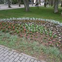  , , 52  -  28  2013     21-23.05.2013