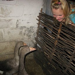 ���� Sun4...you, ������, 40 ��� - ��������� 15 ������ 2009