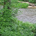 ���� ������, ������, 47 ��� - ��������� 26 ��� 2013 � ������ ���� ����������