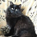 ���� �������, ���������, 56 ��� - ��������� 5 ��� 2012 � ������ ���� ����������