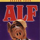 ���� ����, ����������� - ��������� 31 ������� 2010