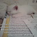 ���� ������, �������, 40 ��� - ��������� 13 ������� 2009 � ������ ����������� ��������, ������� ����������