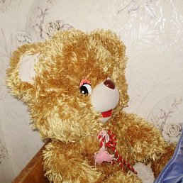 �����, ���������, 37 ���