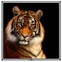 ���� ������, ����������, 39 ��� - ��������� 22 ������ 2011