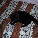 ���� ��������, ������, 52 ���� - ��������� 5 ������� 2010 � ������ �������