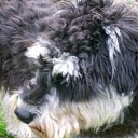 ���� Alex, ������ - ��������� 13 ������� 2011